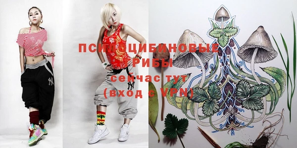 молекула духа Карталы