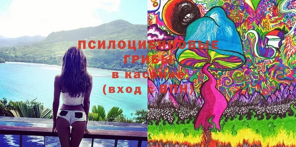 молекула духа Карталы