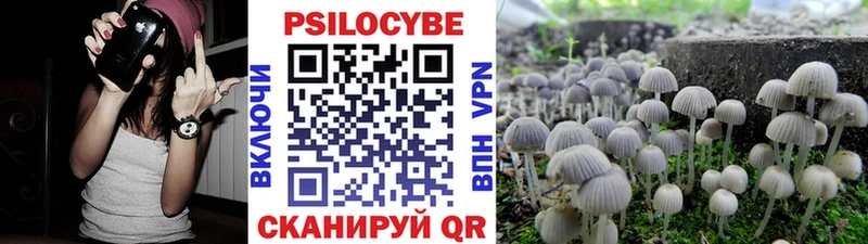 Купить  Богучар  Галлюциногенные грибы ЛСД 