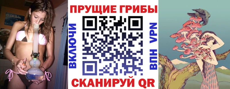 Галлюциногенные грибы мухоморы Богучар